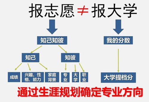 2024年報(bào)考志愿指南 計(jì)算機(jī)專業(yè)就業(yè)方向，鴻蒙開發(fā)與人工智能如何選擇？