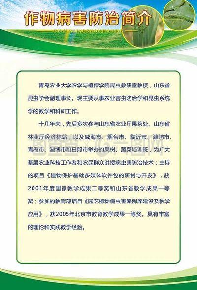 展板設(shè)計(jì)模板 昆蟲防圖片